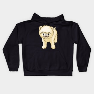 Adorable Pomeranian Puppy Kids Hoodie